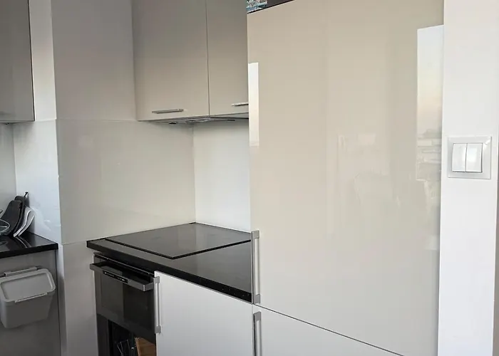 In The Center With Skyline Warsaw